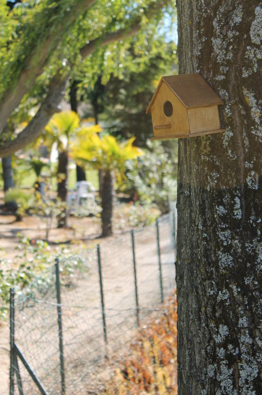 Quinta Da Timpeira *
